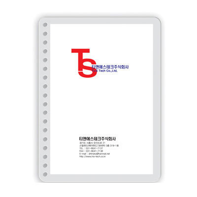 티엔에스