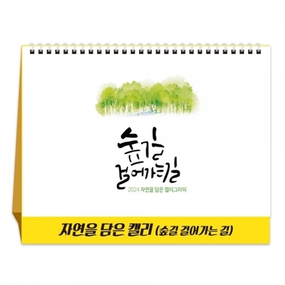 비비드인사이드